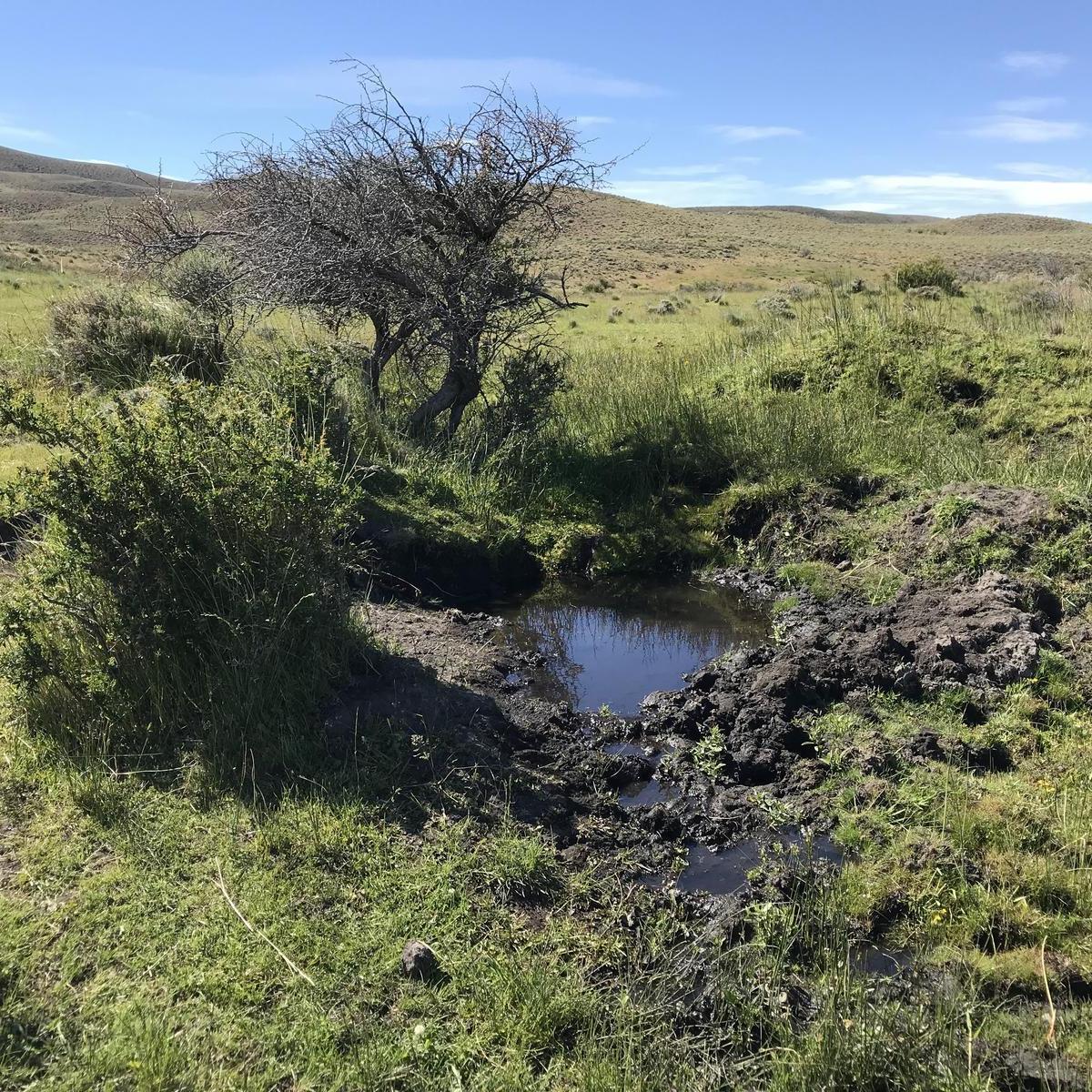 Campo en Esquel - 2.500 Has - Rn 40 4