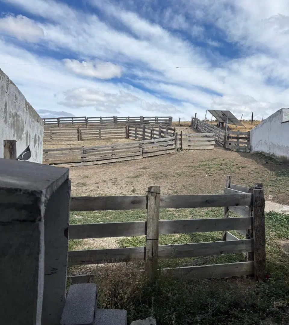 Campo Productivo en Buen Pasto, Chubut 4