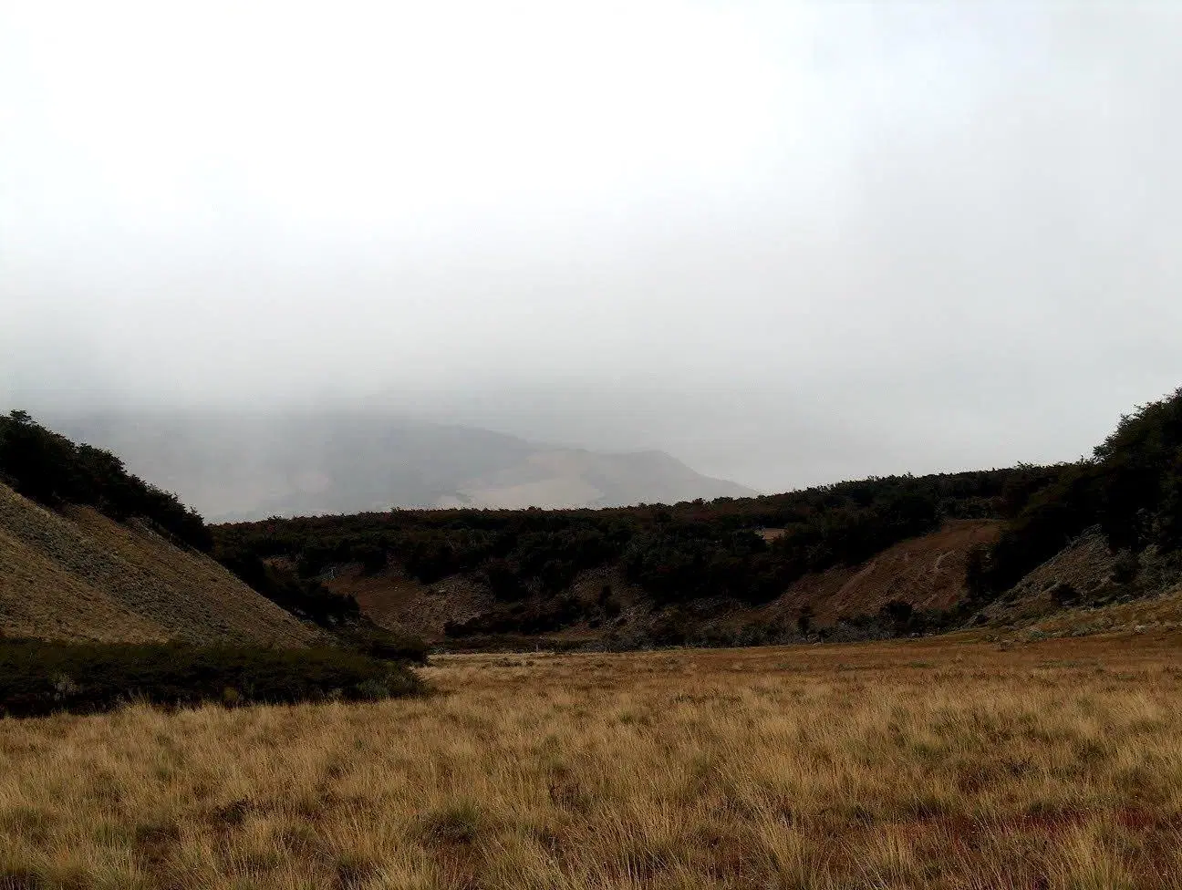 Establecimiento Agropecuario en Cordillera Santa Cruz 3