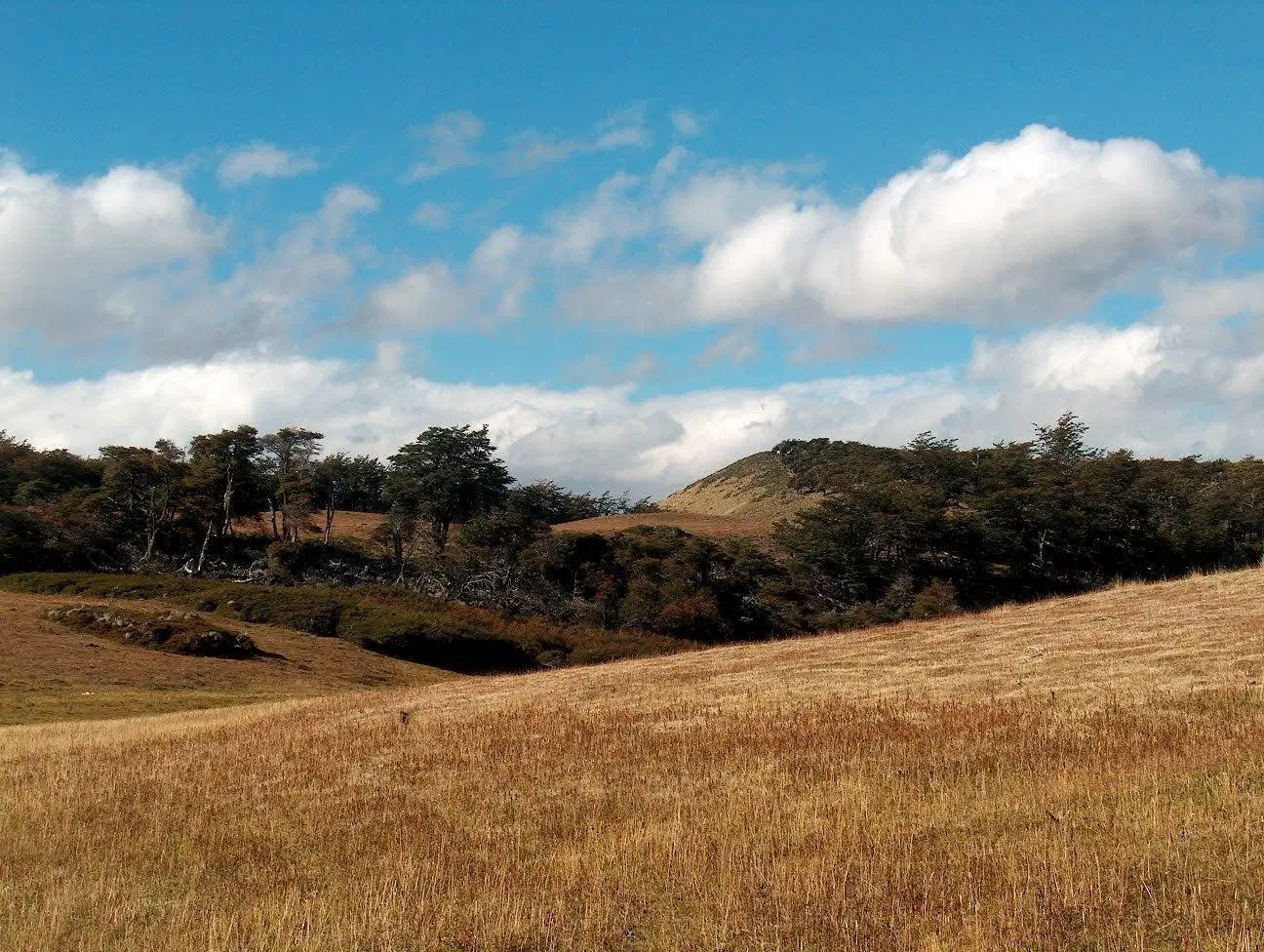 Establecimiento Agropecuario en Cordillera Santa Cruz 2