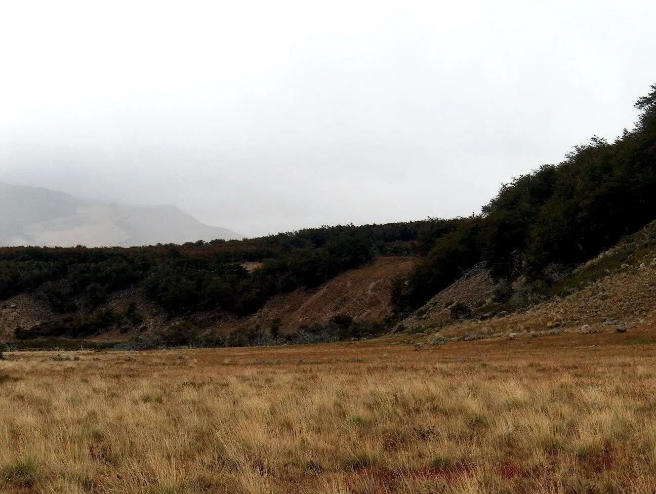 Establecimiento Agropecuario en Cordillera Santa Cruz 5