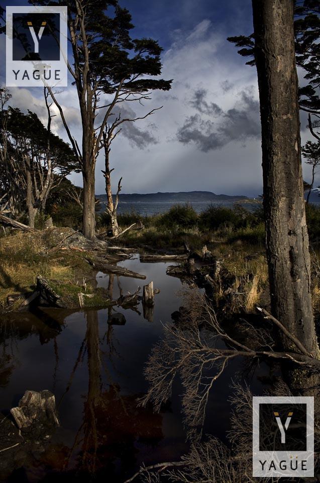 Foto de Campo en Estancia Harberton, imagen 1