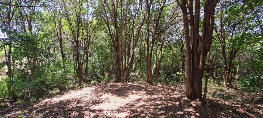 Foto de Venta La Granja-Lote Esquina 1960 m2- a 300 mts de Ruta-Vista-Luz-Agua, imagen 4