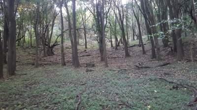 Foto de Venta Ecxelente Fracción 4.1-5 Has c- 232 m de frente sobre camino al, imagen 3