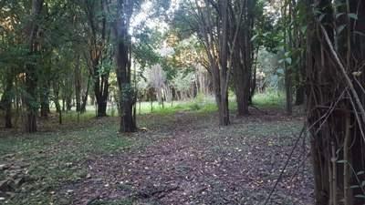 Foto de Venta Excelente 2 Fracciones 3.785 m2 y 2990 m2 a mts de camino al, imagen 5