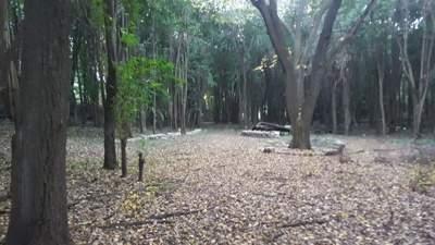 Foto de Venta Excelente 2 Fracciones 3.785 m2 y 2990 m2 a mts de camino al, imagen 4
