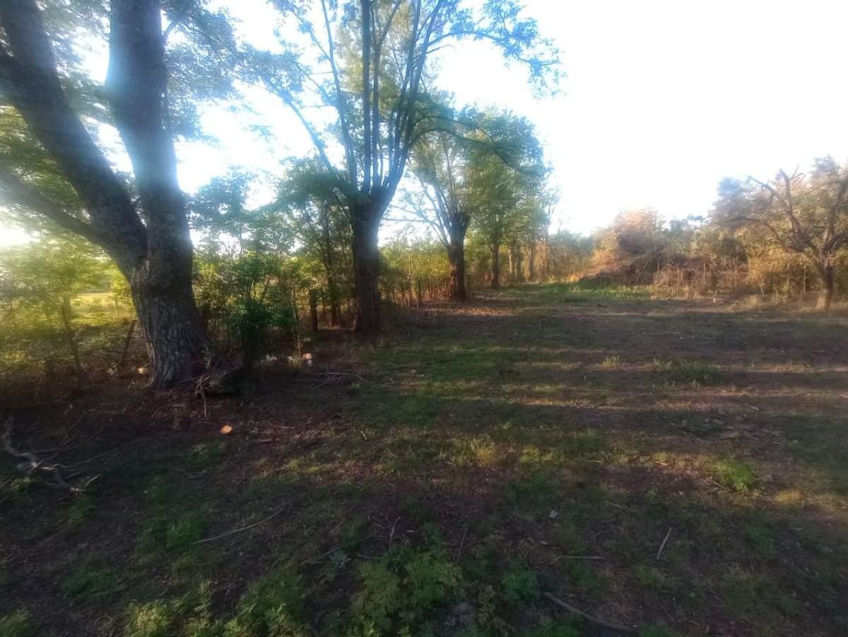 Venta Lote Santa Rosa de Calamuchita 2143 m² - Escritura 4