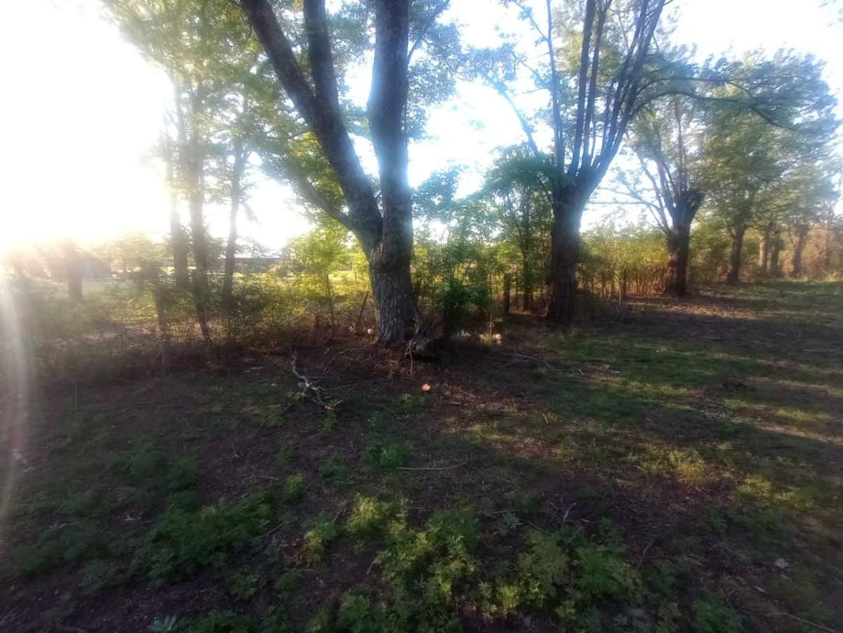 Venta Lote Santa Rosa de Calamuchita 2143 m² - Escritura 5