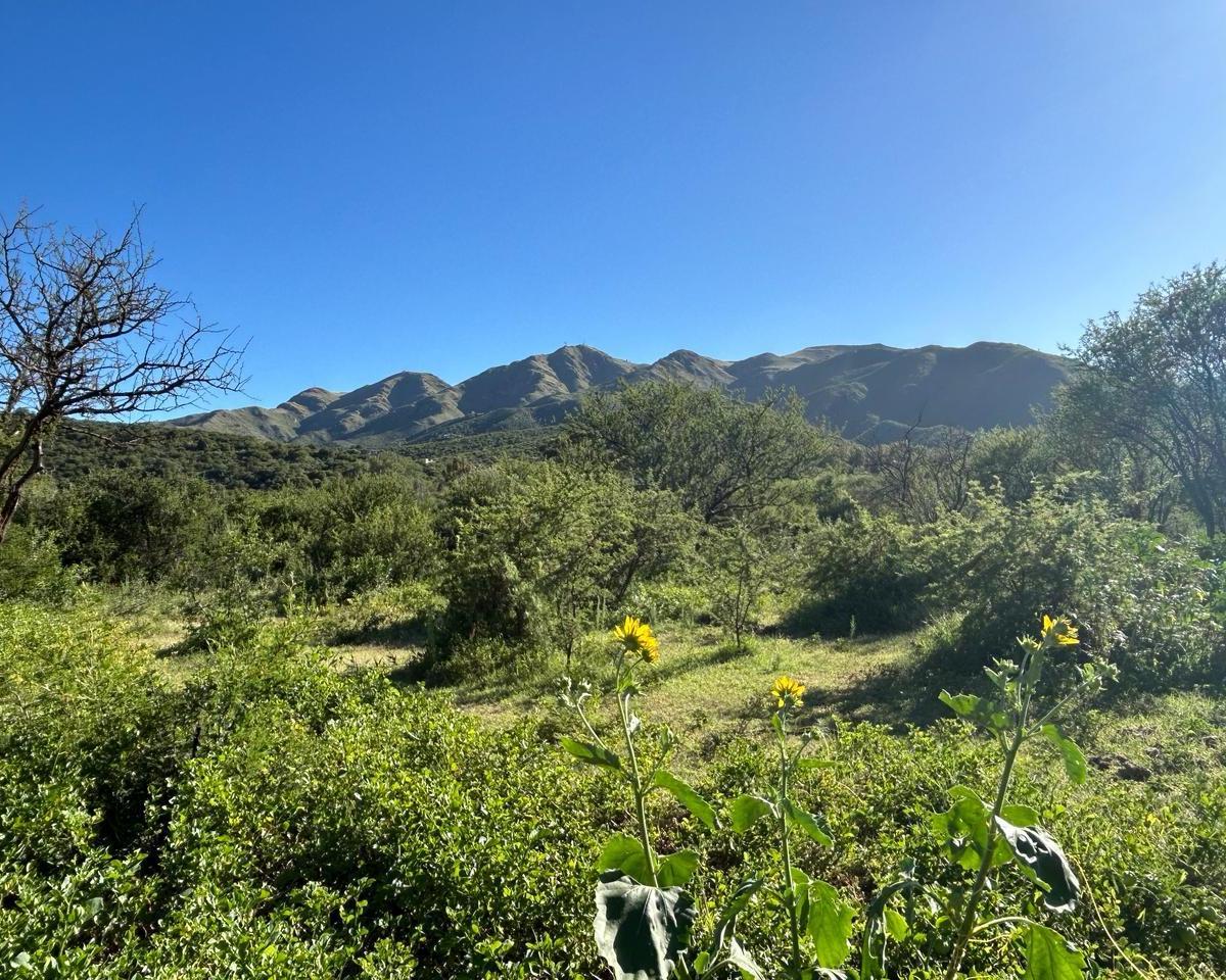 Venta Terreno en La Cumbre 5000 m² (Cruz Chica). 2