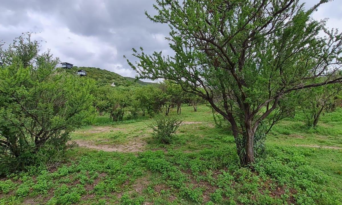 Venta Terreno en La Cumbre 5000 m² (Cruz Chica). 1