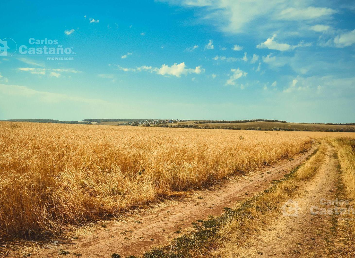 Foto de Venta de Campo 3500Ha en Bahía Blanca (Campo Mixto), imagen 1