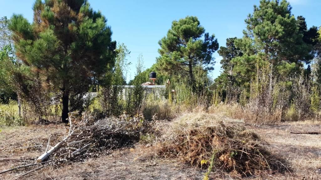2 Lotes en Esquina