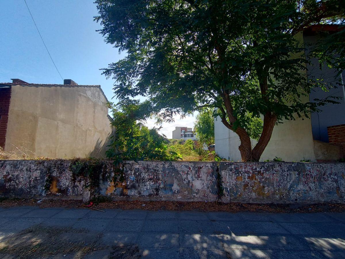 Foto de Terreno a metros del mar, imagen 2