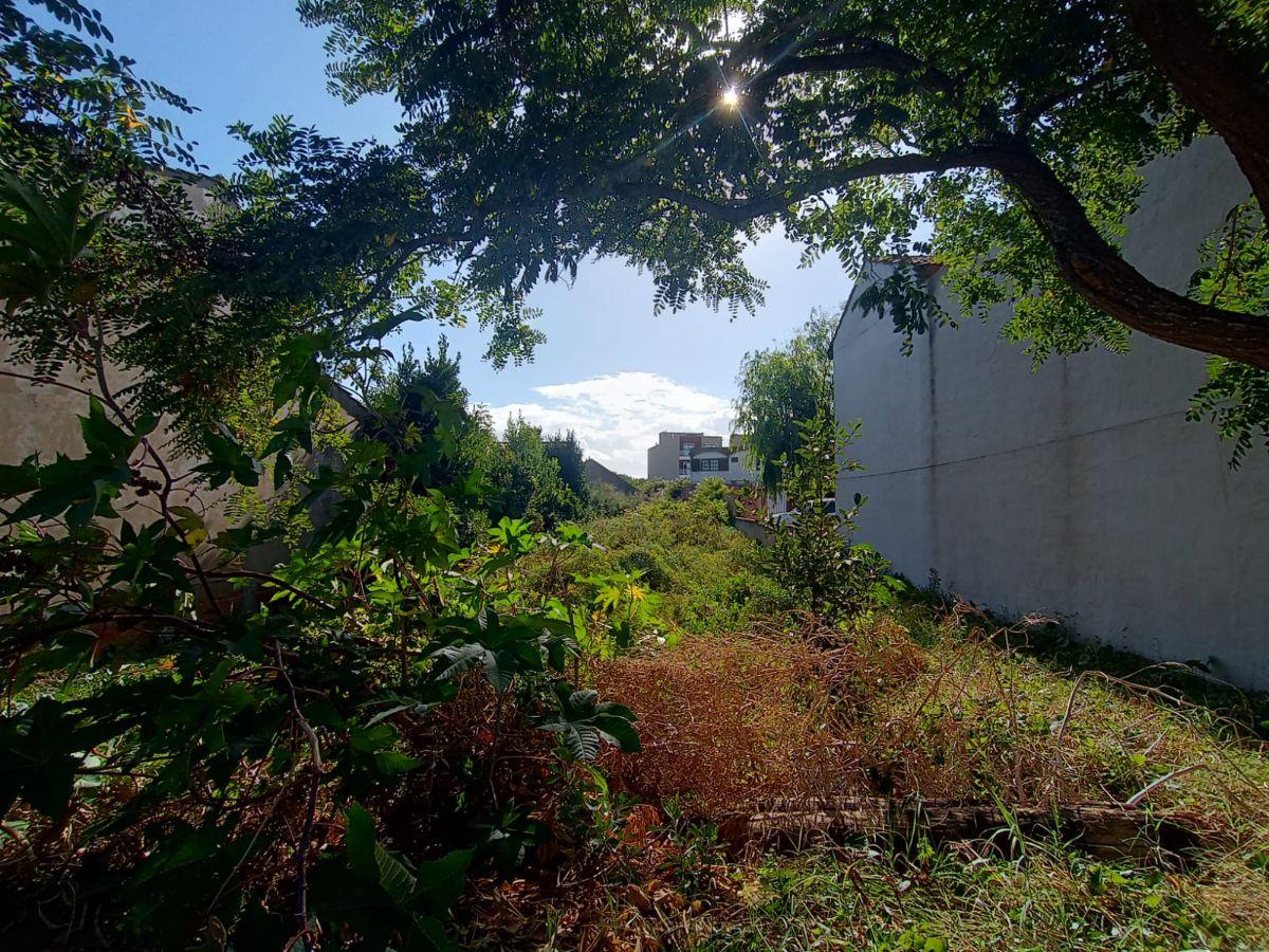 Foto de Terreno a metros del mar, imagen 4
