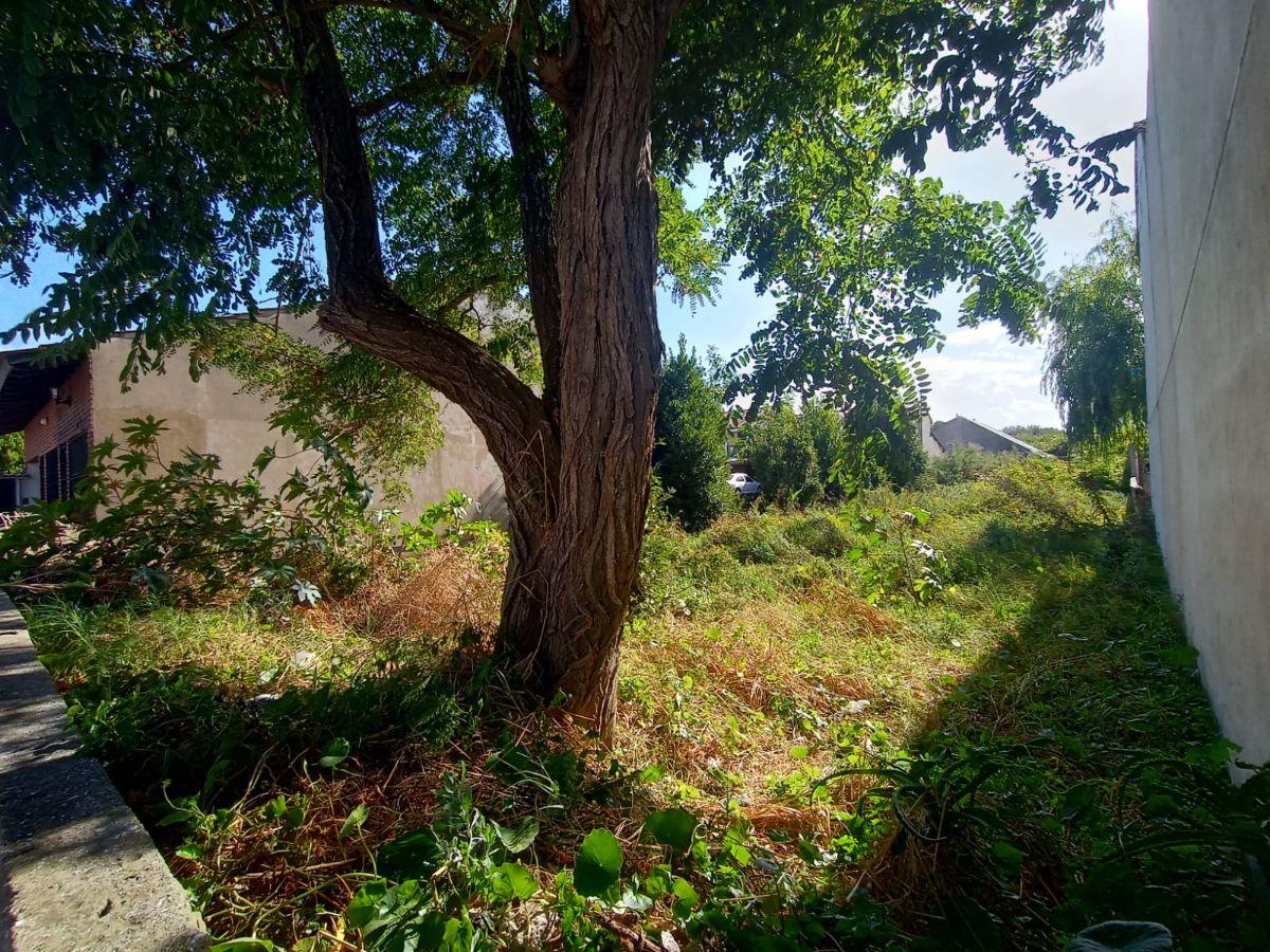 Foto de Terreno a metros del mar, imagen 5