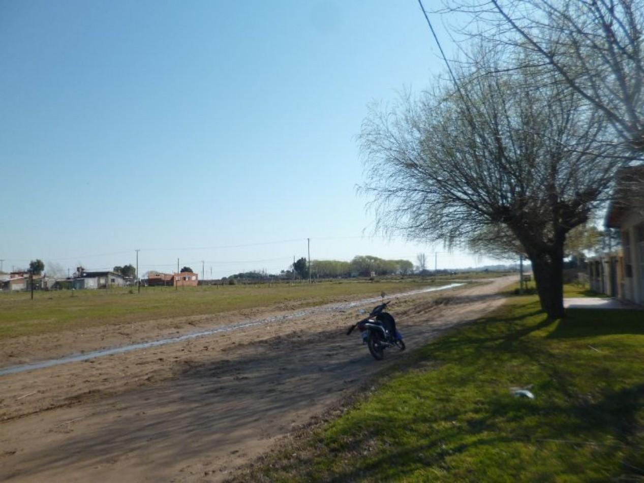 Foto de Lote en Venta, 10 X 36 MTS . a unas cuadras del mar .EXCELENTE, imagen 5