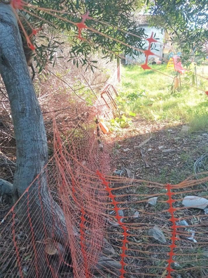 Foto de 2 lotes de 10mts por 38,40 cada uno, imagen 1