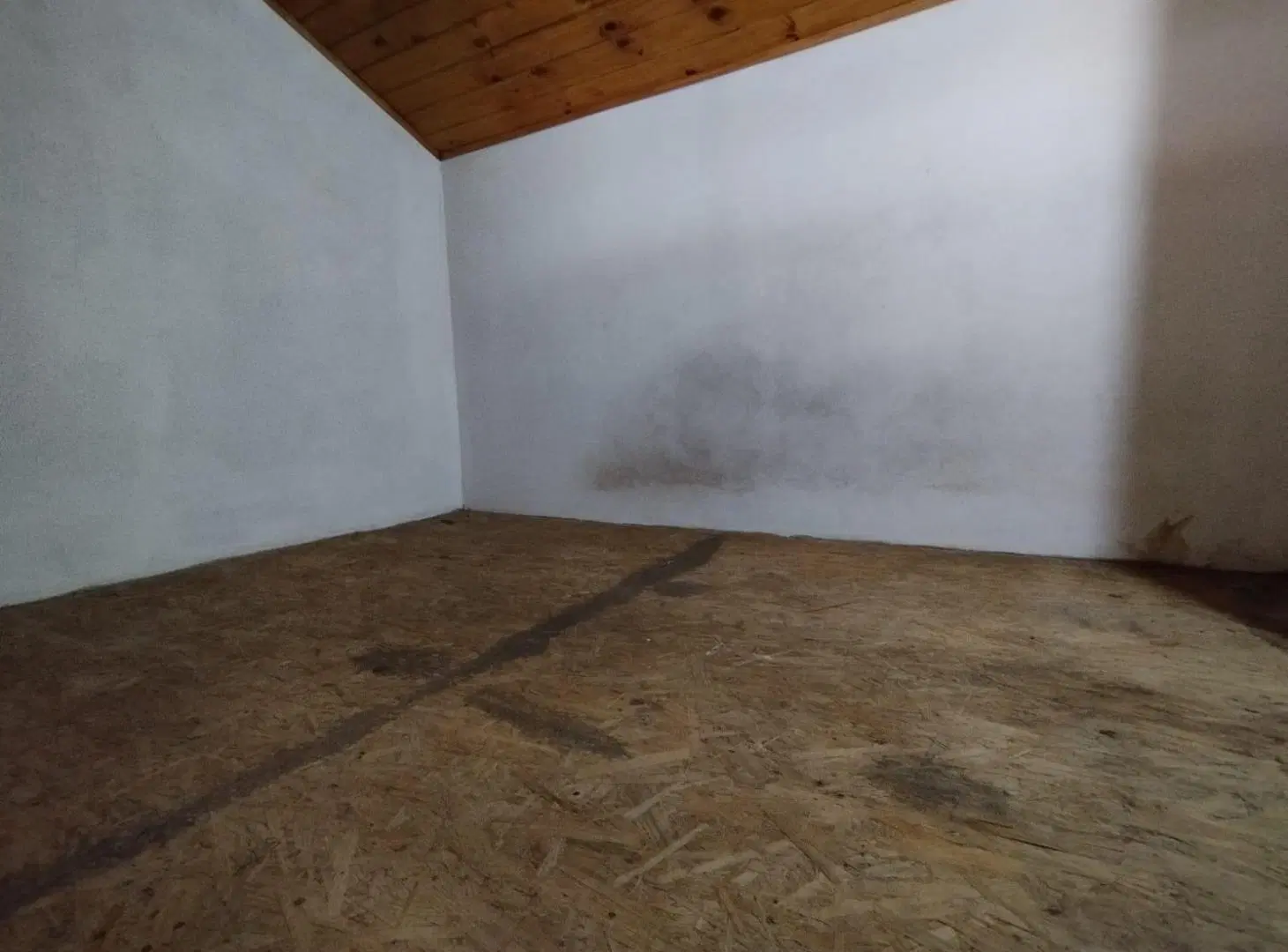 Departamento en San Miguel 4