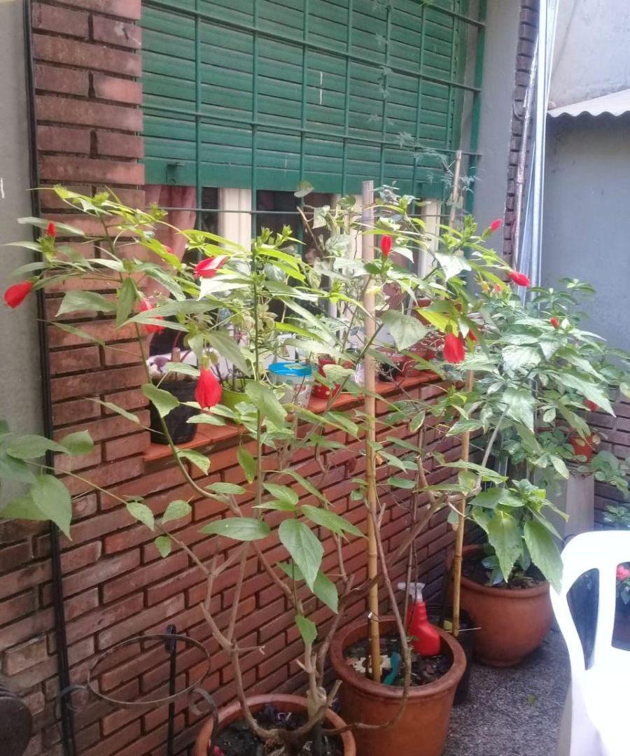 PH 3 Ambientes en 2 Plantas con Patio y Terraza