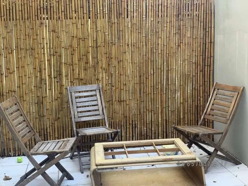 Acassuso - Departamento Alquiler USD 1.000 2