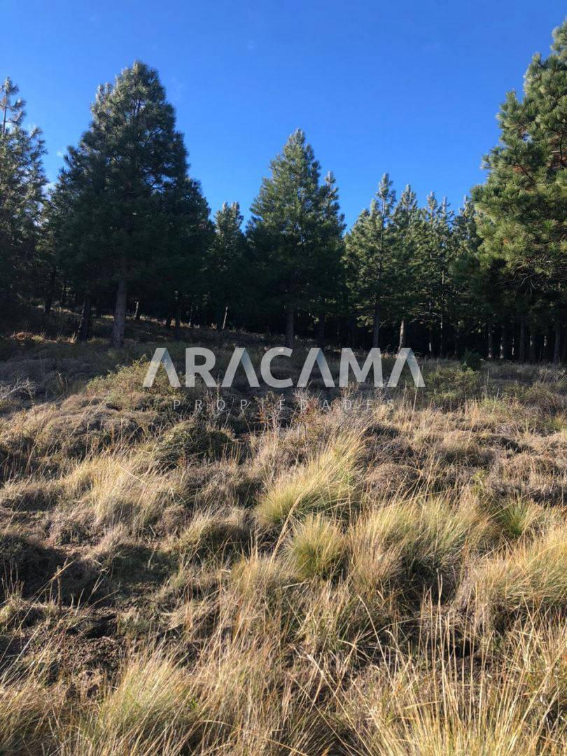Casa en Venta - San Martin de Los Andes 3