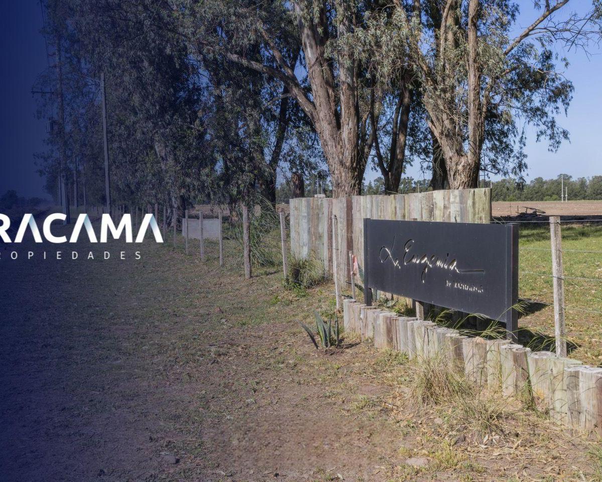 Foto de Lotes en Venta en La Eugenia - Maximo Paz, imagen 2