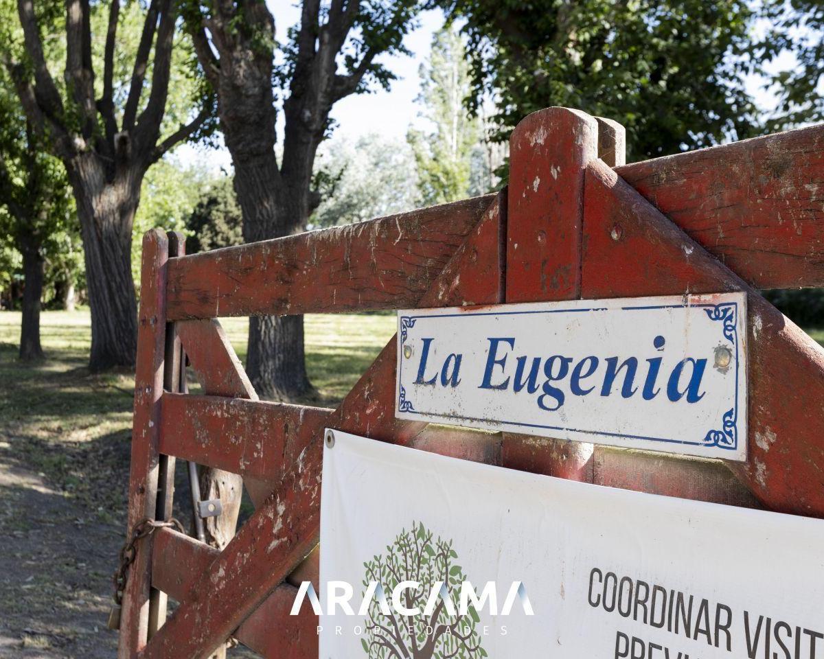 Lotes en Venta en La Eugenia - Maximo Paz