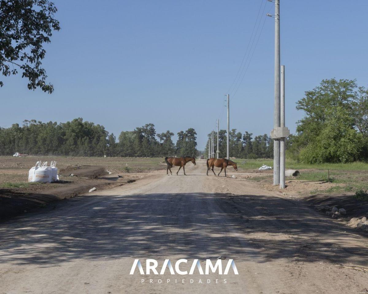Foto de Lotes en Venta en La Eugenia - Maximo Paz, imagen 4