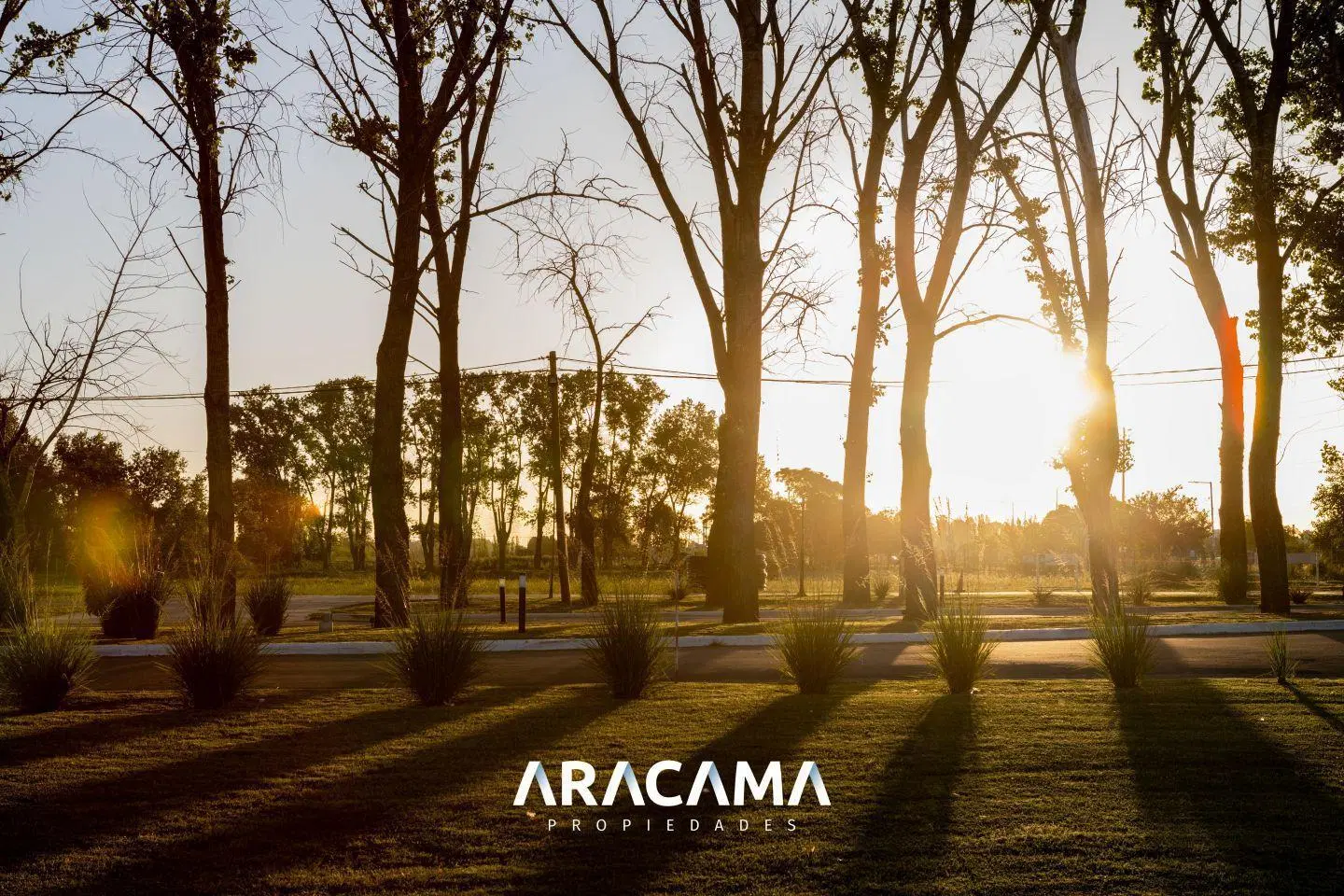 Lote en Venta en La Alameda - Canning 4