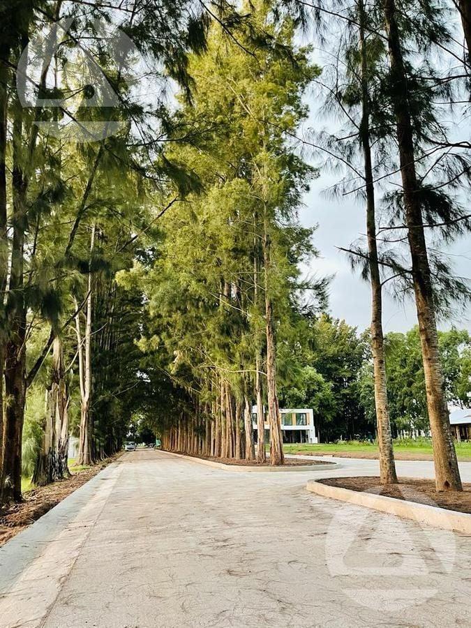 Foto de Lote en VENTA Lares de Canning, imagen 4