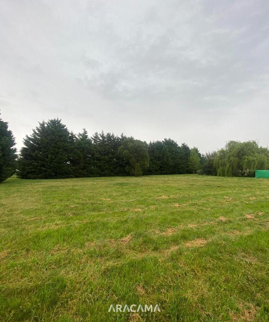Foto de Terreno en Venta en San Eliseo Golf, imagen 5