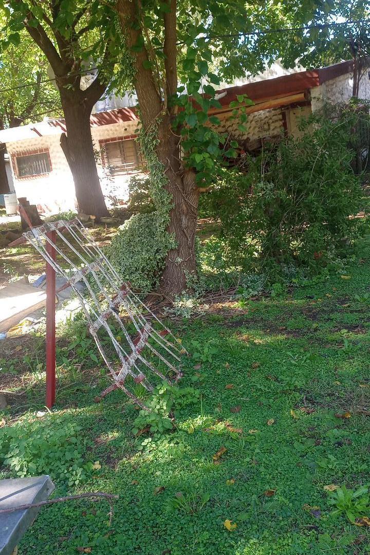 Foto de Quinta en Cañuelas con añosa arboleda, imagen 3