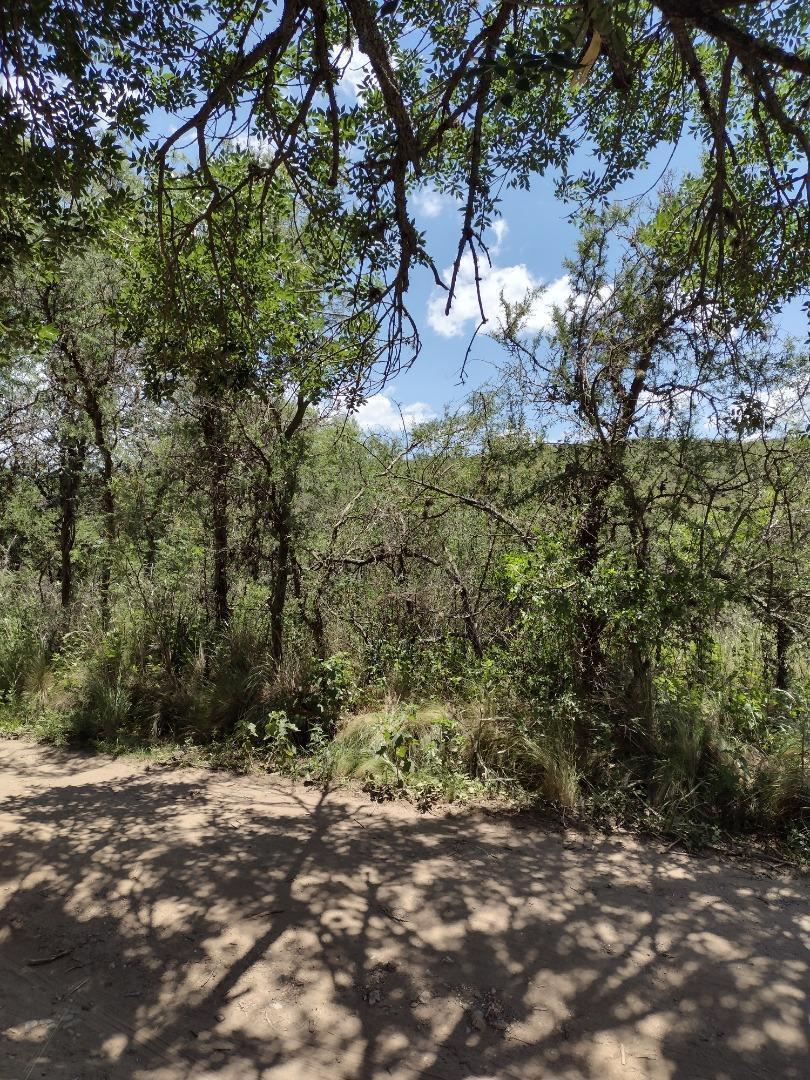 Se Vende Lote 622 m², Escritura, No Tiene Servicios, Sec. "A" 2