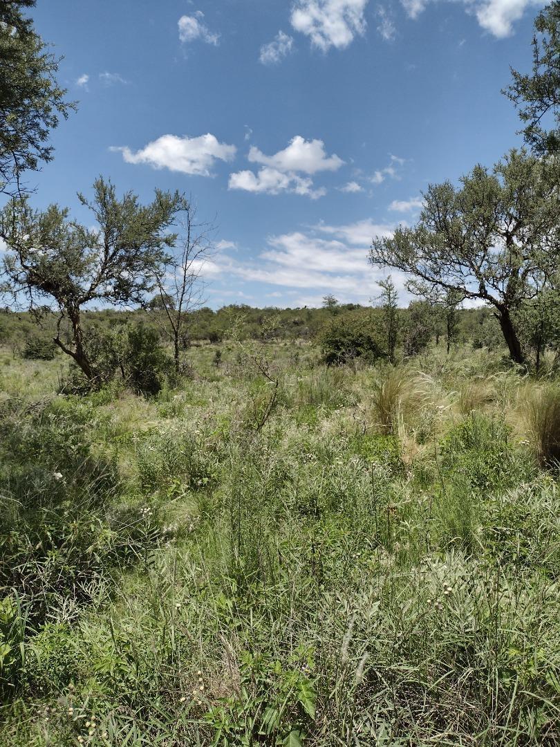Se Vende Lote 622 m², Escritura, No Tiene Servicios, Sec. "A" 4