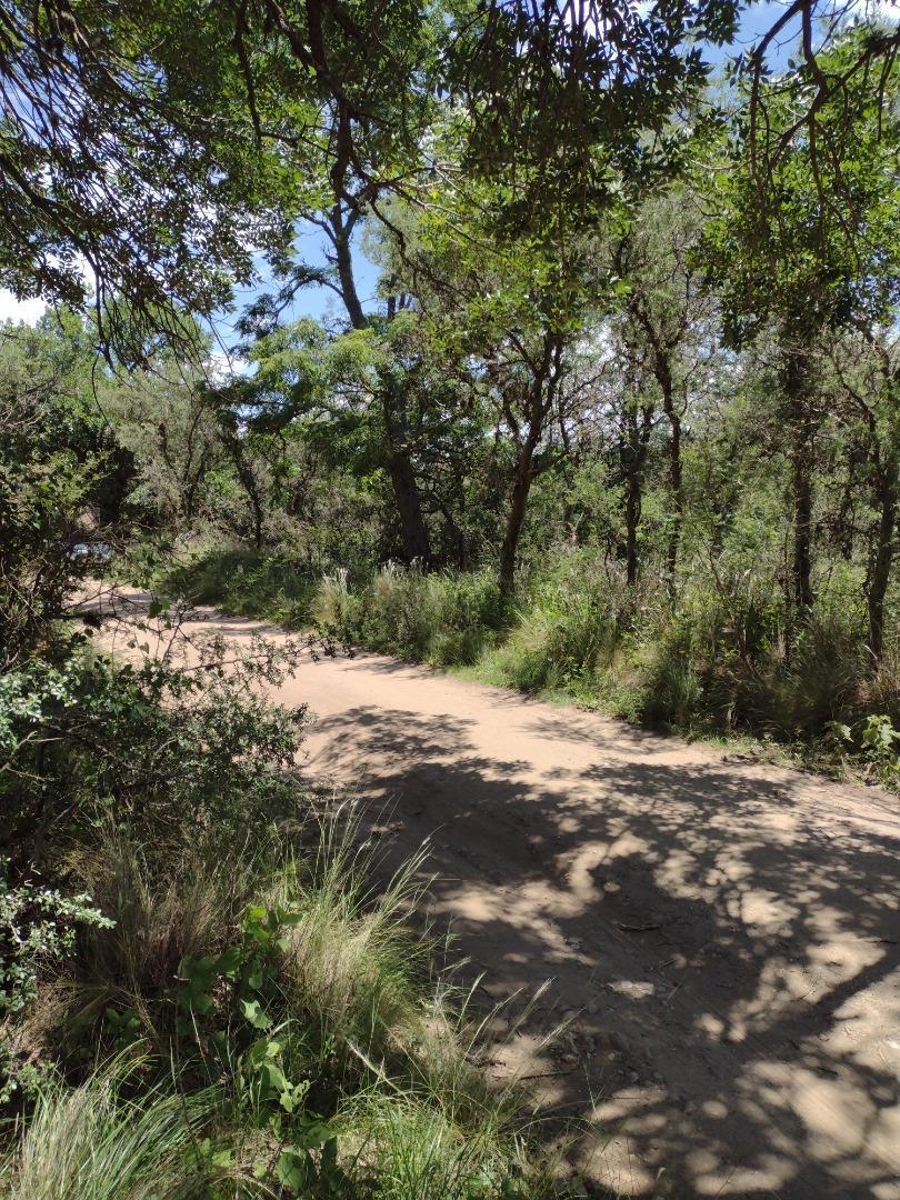 Se Vende Lote 622 m², Escritura, No Tiene Servicios, Sec. "A" 5