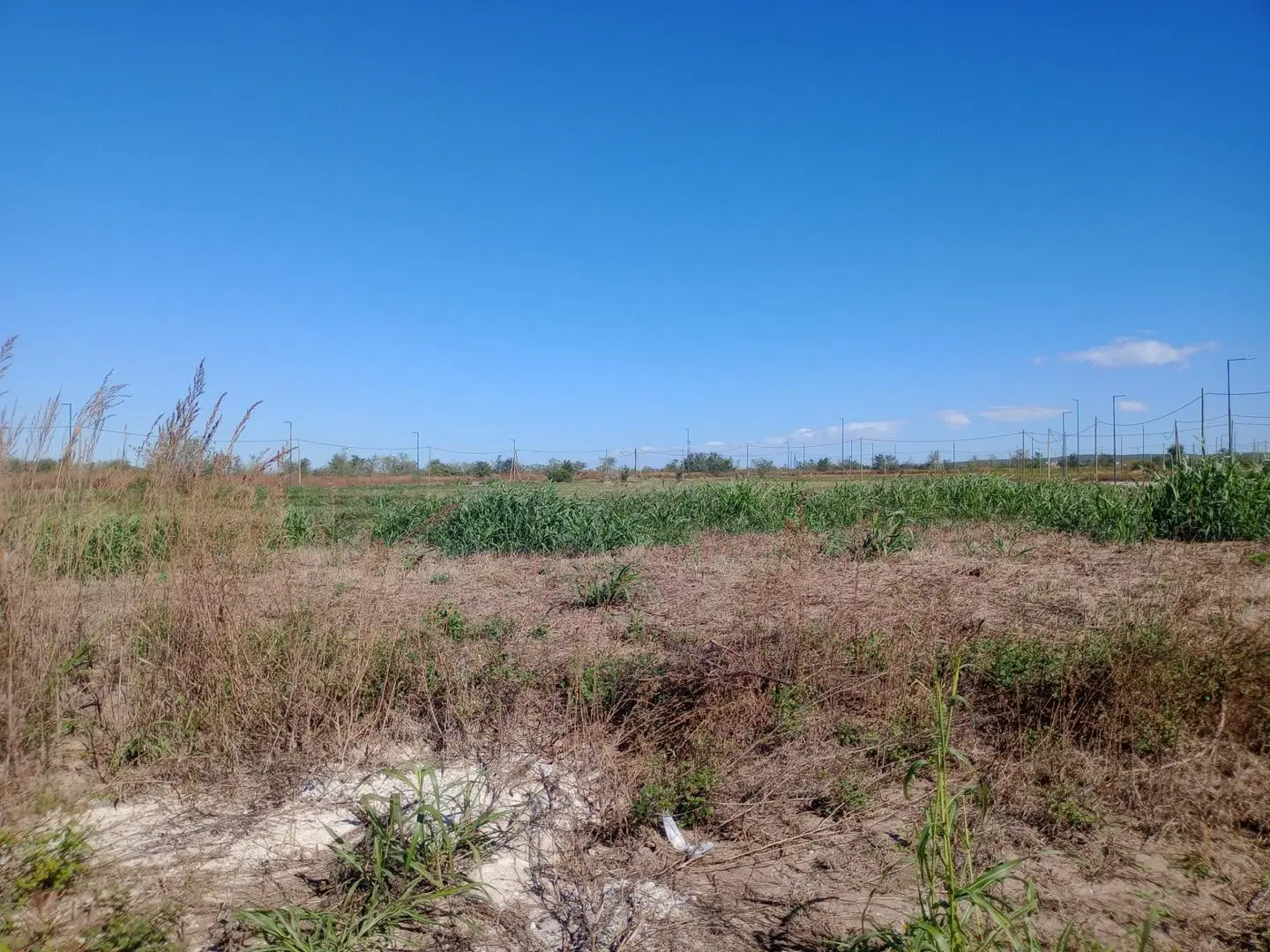 SE VENDE LOTE 600M2 DOCTA PARQUE 2 (20 FRENTE x 30 FONDO) 3