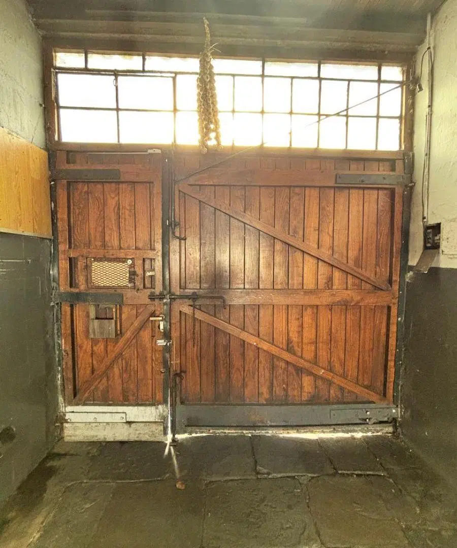 ALQUILER – LOCAL COMERCIAL AMPLIO – 160 M2 4