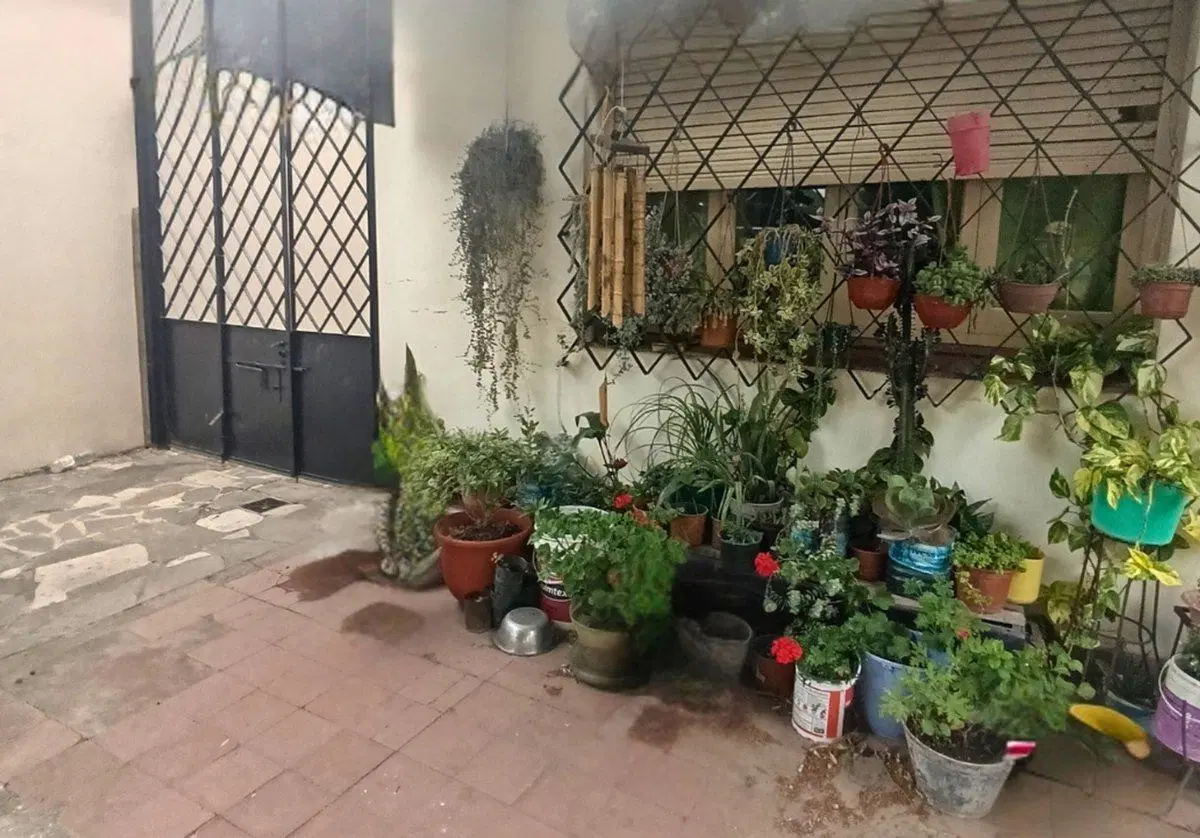VENTA CASA CON JARDIN Y COCHERA BERAZATEGUI CENTRO 4