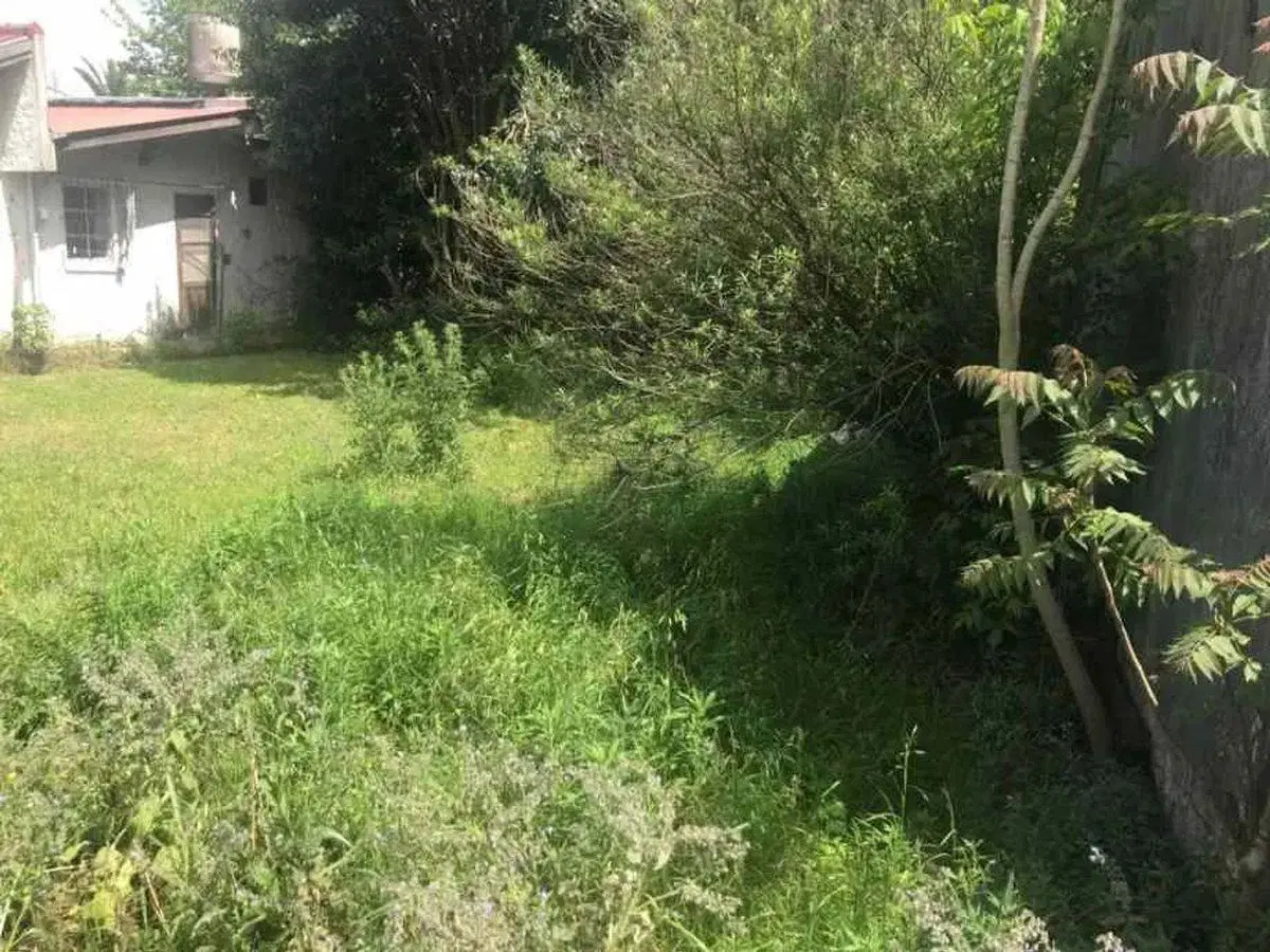 VENTA LOTE  11 x 23  metros en  PLATANOS 2
