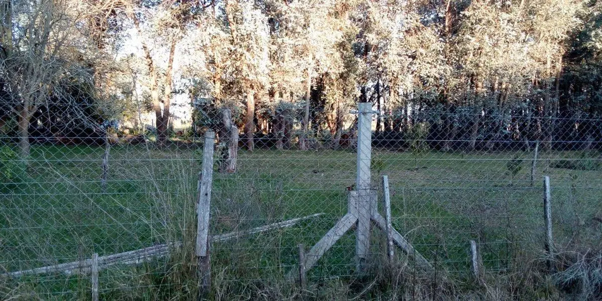 VENTA TERRENO 7 HECTAREAS EN LA CAPILLA F.VARELA 5