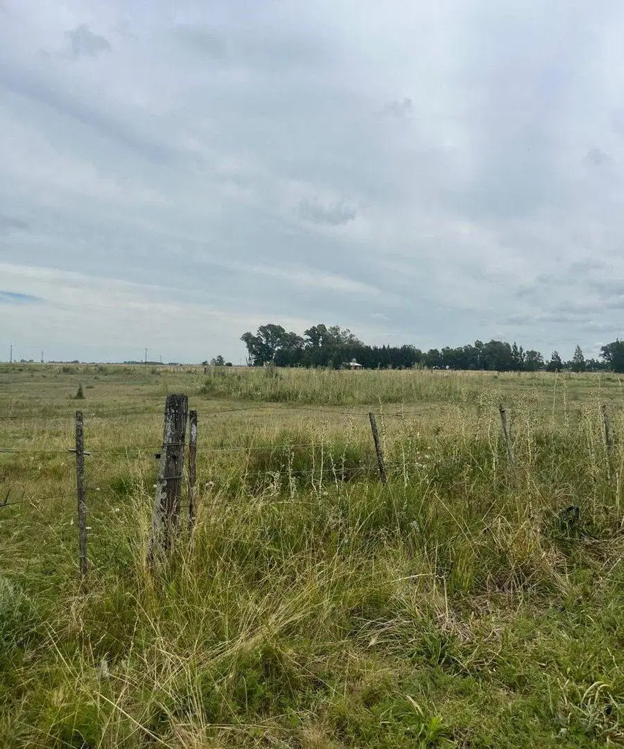 VENTA LOTE DE 1712 m2 EN RUTA 2 CHASCOMUS 5