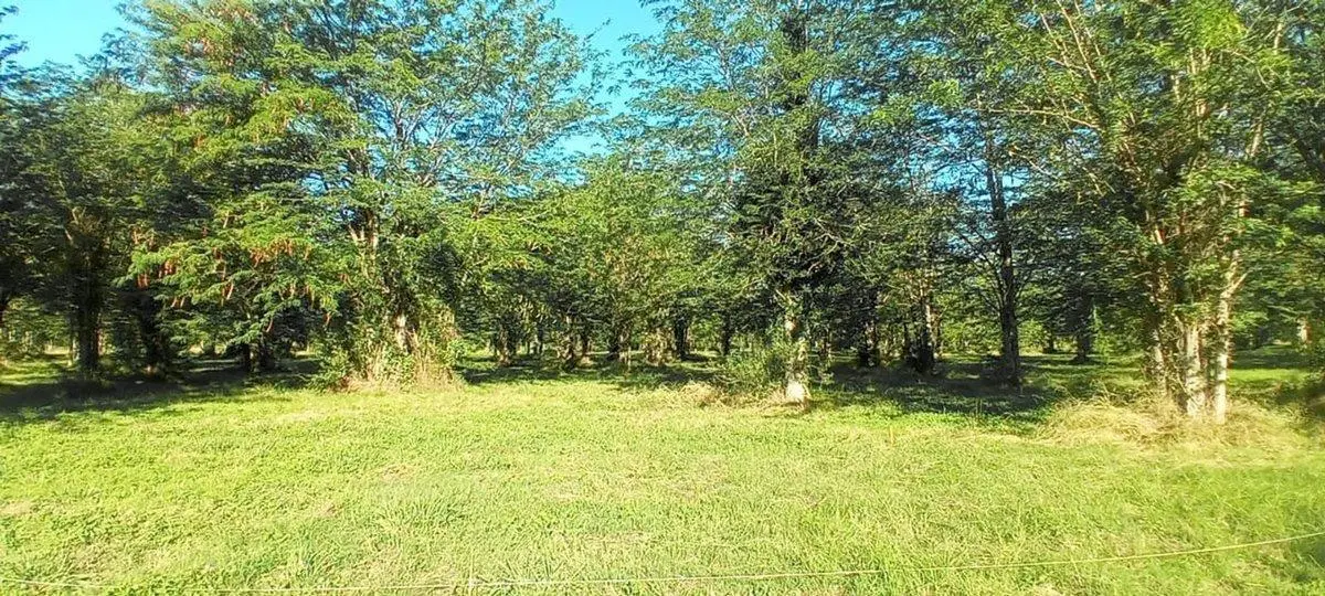 VENTA LOTE 750mts BARRIO PRIVADO ABRIL SUR HUDSON 4