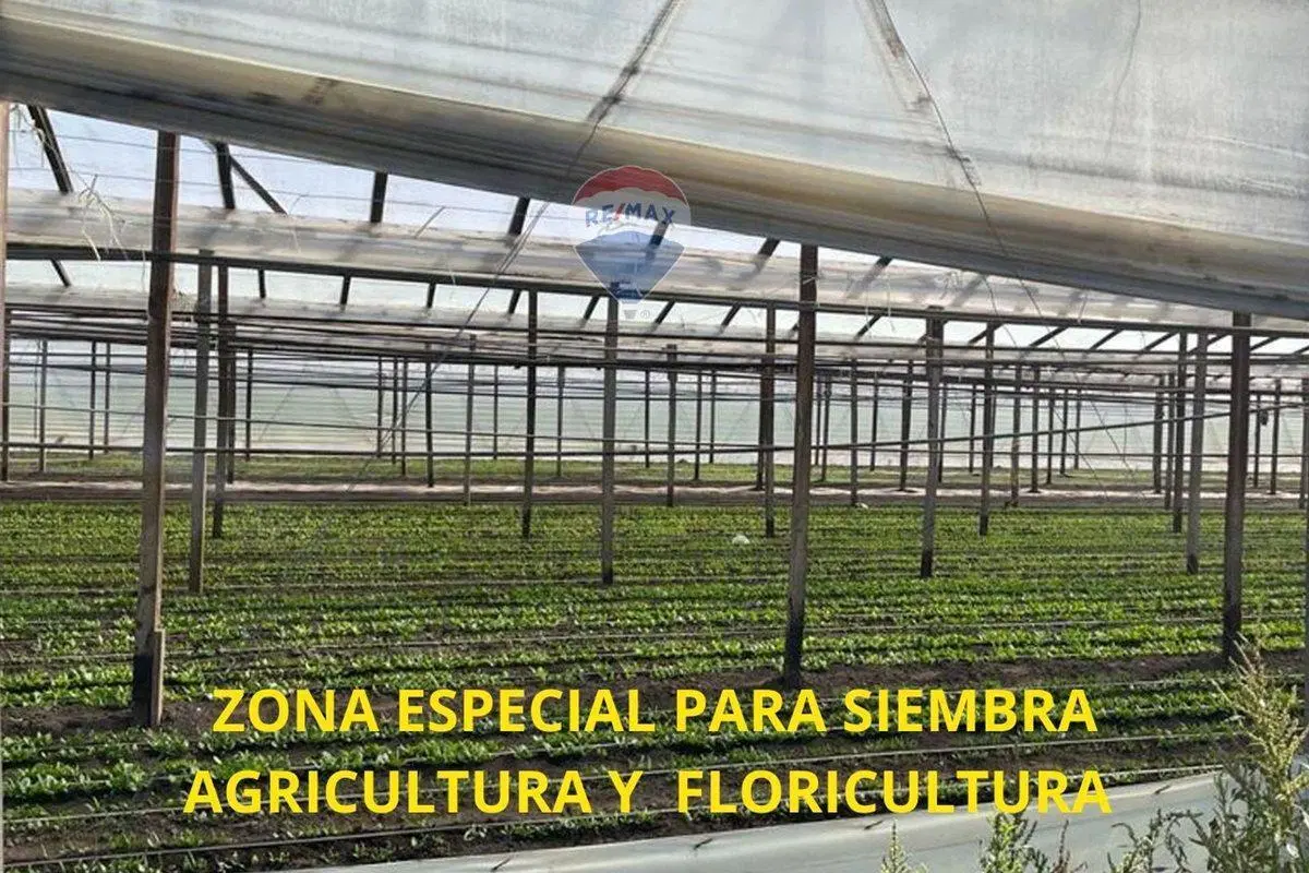 LOTES EN VENTA 4 HECTARIAS  ABASTO LA PLATA 4