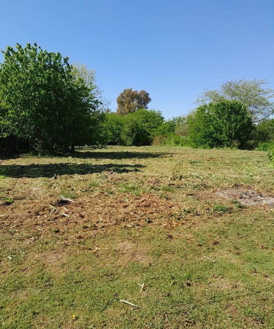 Foto de VENTA LOTE VILLA ELISA, imagen 4
