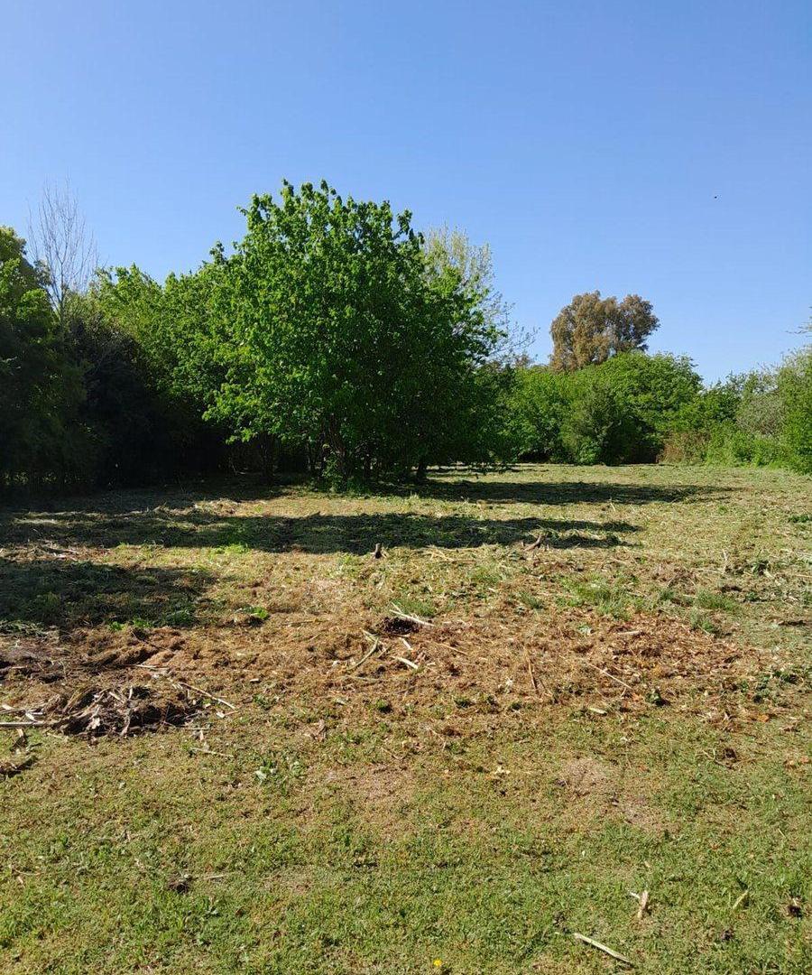 Foto de VENTA LOTE VILLA ELISA, imagen 3