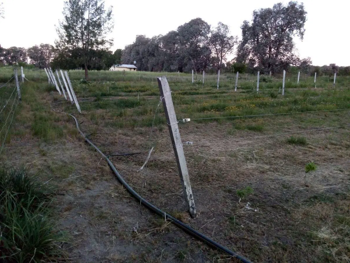 VENTA TERRENO 7 HECTAREAS EN LA CAPILLA F.VARELA 2