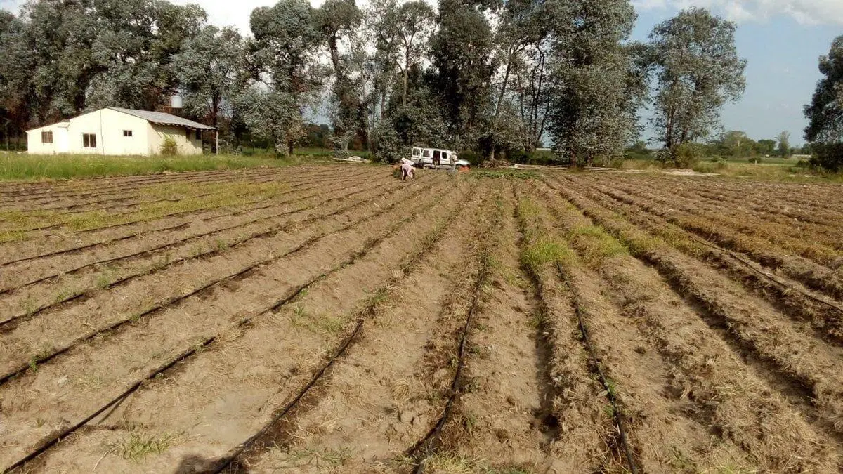 VENTA TERRENO 7 HECTAREAS EN LA CAPILLA F.VARELA 4