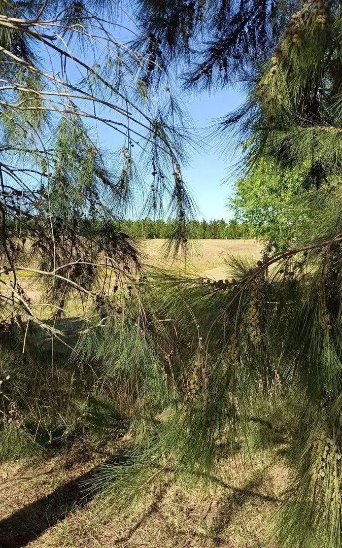 VENTA DE TERRENO EN BARRIO CERRADO 3