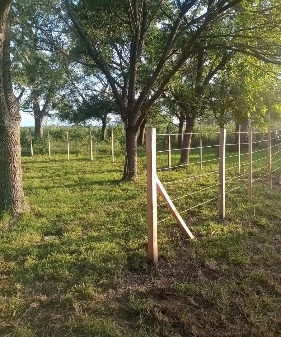 Foto de Venta Lote en Barrio Cerrado Don Jemel II La Plata, imagen 5