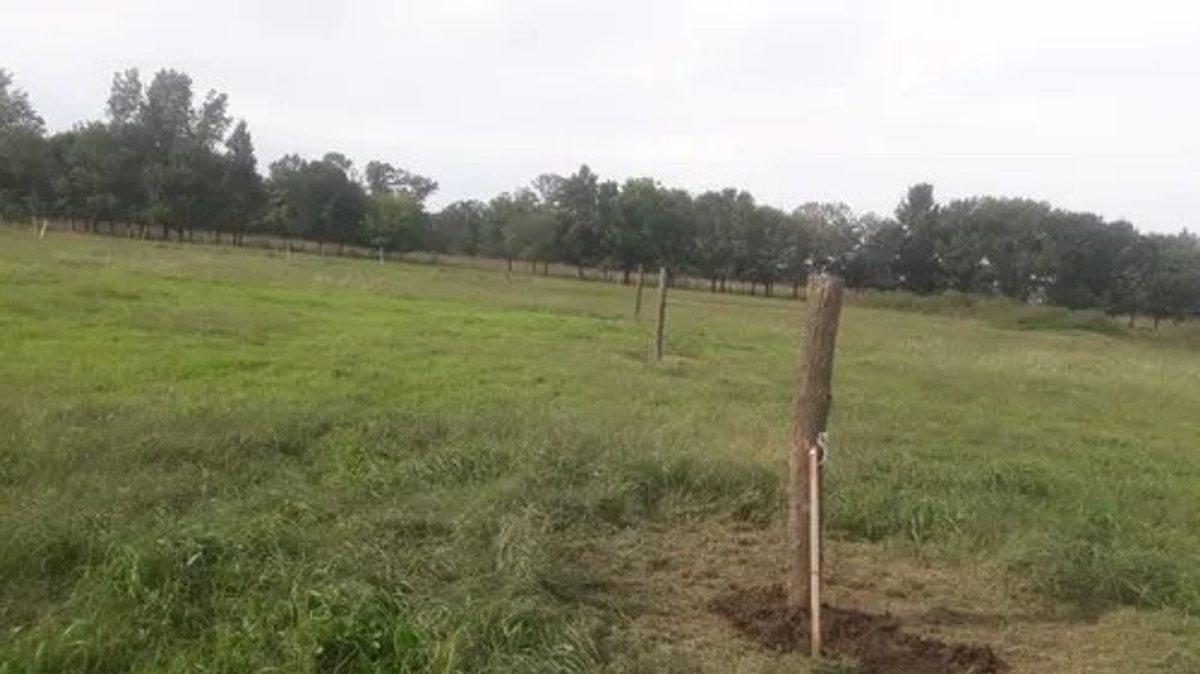 Foto de Venta Lote en Barrio Cerrado Don Jemel II La Plata, imagen 4